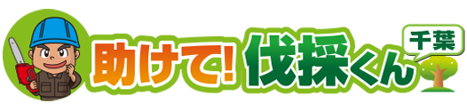 特殊伐採,立木の伐採,伐採専門